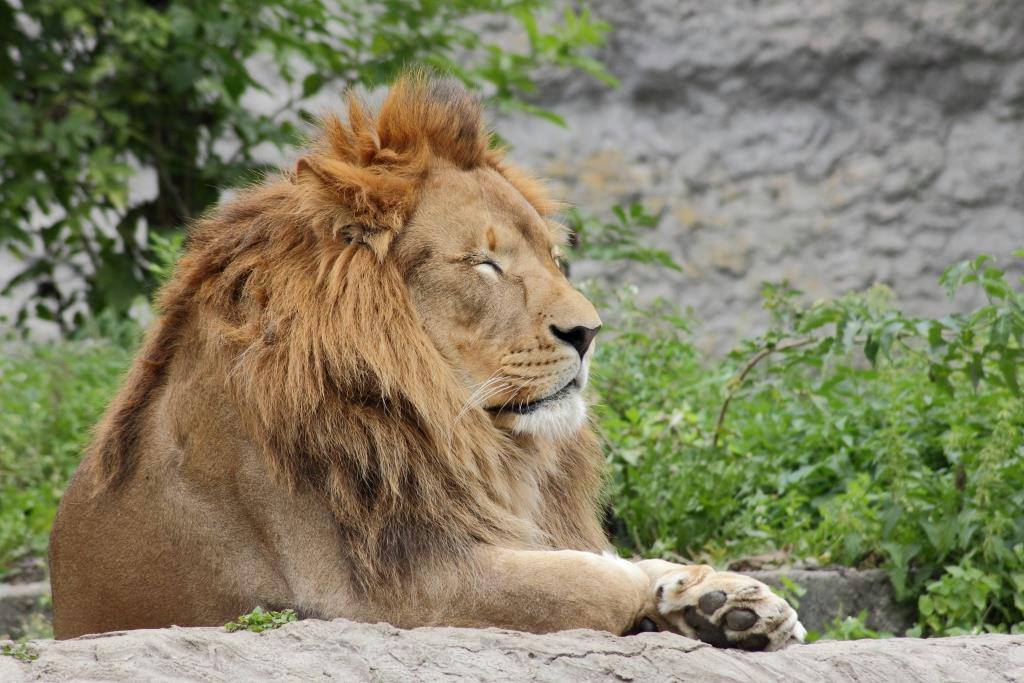 WIECZÓR MARZEŃ W WARSZAWSKIM ZOO 5 CZERWCA 2015R